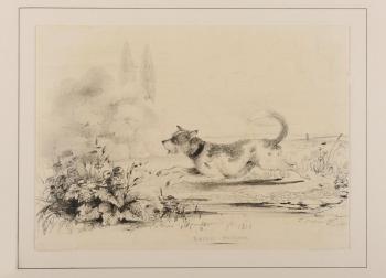 Rough terrier by 
																	Ferdinand Philippe Louis Charles Henri d'Orleans