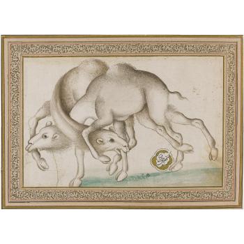 An Illustrated Album Page: Two Camels Fighting by 
																	Mohammad Hassan Afshar