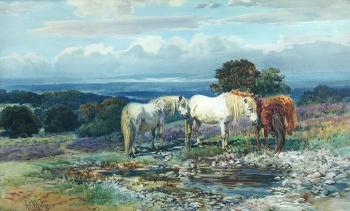 New forest ponies by 
																	A E Wyatt