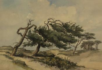 Pines in the dunes by 
																	Jan Kagie