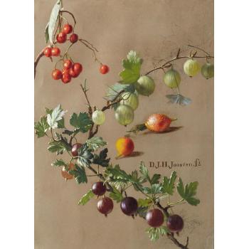 Gooseberries and cherries by 
																	Dirk Jan Hendrik Joosten