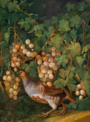 A guinea fowl among vines by 
																	Franz Michael Siegmund von Purgau