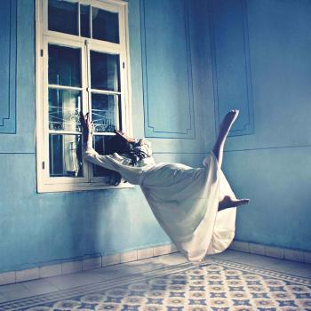 Window Absorbed by 
																	Lara Zankoul