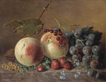 Peaches, grapes, wild strawberries, red and white currants, forget-me-nots and a walnut on a marble ledge by 
																	Adriana van Ravenswaay