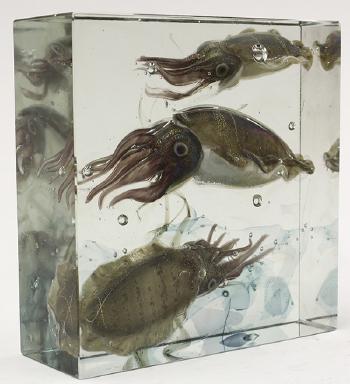 Aquarium Block by 
																			Alfredo Barbini