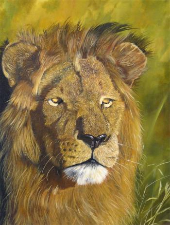 Head of a lion by 
																	Jonathan Truss