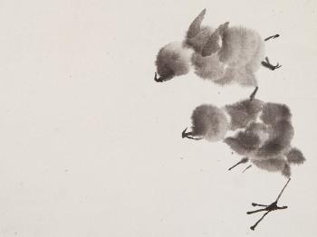 Chicks by 
																			 Yan Zi