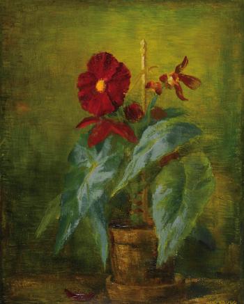 Topfpflanze mit roten Blüten by 
																	Hans Zaugg