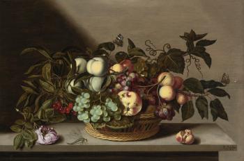 A Still Life Of Grapes, Cherries, Peaches And Other Fruit In A Basket, With A Rose And A Dragonfly On A Stone Ledge by 
																	Bartholomeus Assteyn