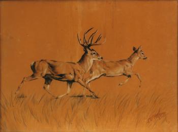 Deer run by 
																	Jean Ettner