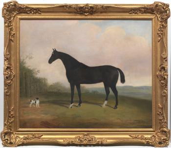 Horse portrait by 
																			George B Newmarch