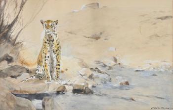 Cheetah sitting on a rock by a river by 
																	Ludwig Fromme