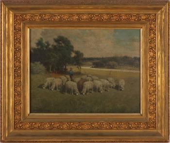 Flock of sheep by 
																			Charles T Phelan