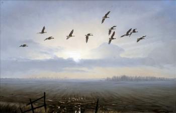 Geese in flight by 
																	Julian Novorol