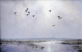 Wild fowl in flight by 
																	Julian Novorol