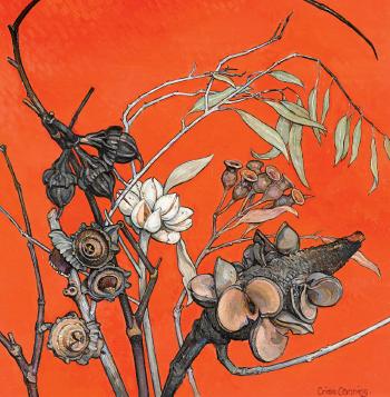 Native Seed Pods by 
																	Criss Canning