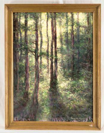 Wald im Morgenlicht by 
																	Hans K Baier