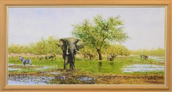African landscape with elephants and a zebra by 
																			Dharbinder Singh Bamrah