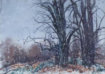 Trentham, Winter Trees by 
																	Reginald Haggar
