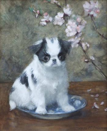 Portrait of a Japanese Chin with cherry blossom by 
																	Frances C Fairman
