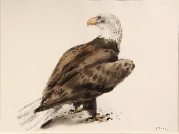 Eagle by 
																			Van Day Truex