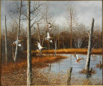 Mallards Coming In by 
																			William P Tyner