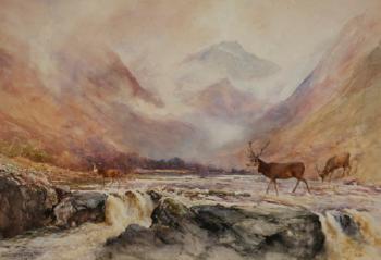 Stags by the River by 
																	Andrew Scott Rankin