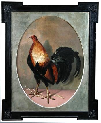 A Black Red Carlisle Old English Game Cock by 
																	Eliot Thomas Yorke