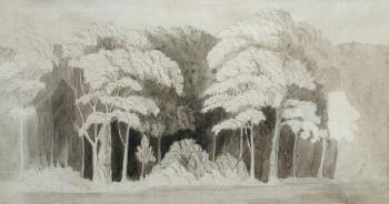 Study of trees by 
																			Henry Englefield