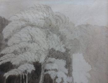 Study of trees by 
																			Henry Englefield
