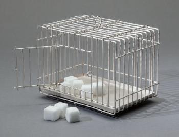 Sugar cage by 
																			Luc d'Hanis and Sofie Lachaert