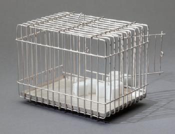 Sugar cage by 
																			Luc d'Hanis and Sofie Lachaert