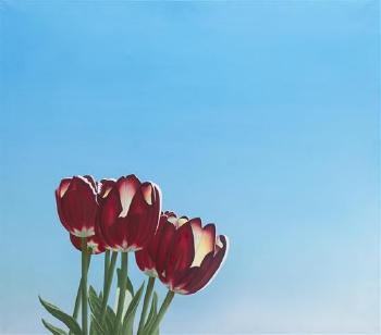 Red Tulips on Blue by 
																	Jochen Labriola