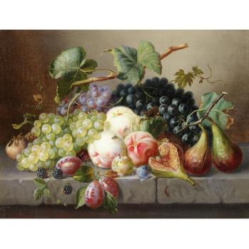 Still Life with Fruit and Insects on a Marble Ledge by 
																	Amalie Karcher