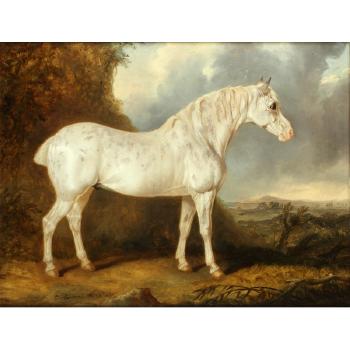 Grey horse before an open vista by 
																			Charles Hancock