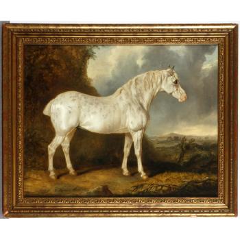 Grey horse before an open vista by 
																			Charles Hancock