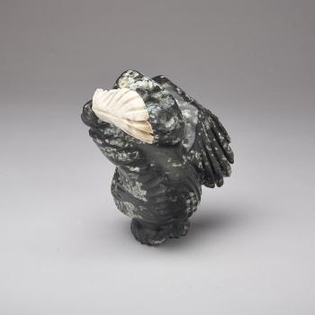 Shaman Bird Transformation by 
																			Andrew Palongayak