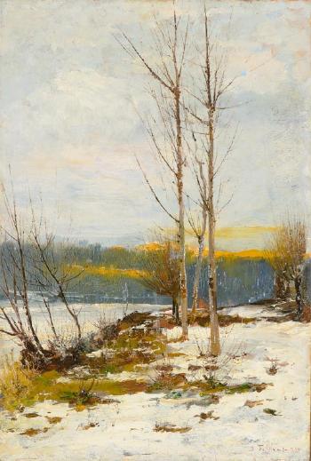 Inverno sulle rive del Po by 
																	Domenico Rabioglio