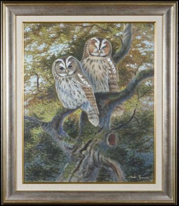 Owls by 
																	Marko Lammervo