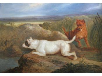 Two terriers by 
																	Charles Hancock