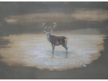 A stag in a pool by 
																	Vincent Balfour-Browne