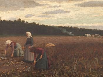 Potato Harvest by 
																			Robert Beielstein