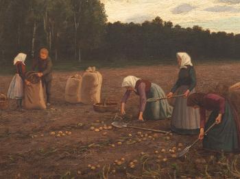 Potato Harvest by 
																			Robert Beielstein