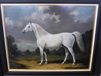 A grey Arabian stallion standing in an open landscape by 
																	Lionel Hamilton-Renwick