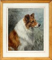 Glenboy, Portrait of a collie dog by 
																	Frances C Fairman
