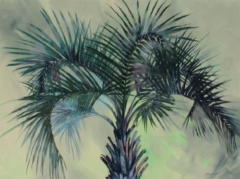 Florida palm by 
																			Bill Renc