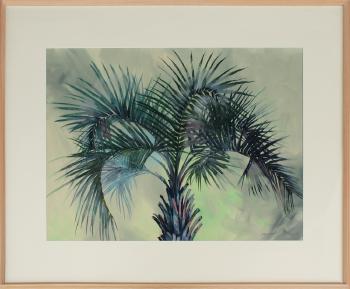 Florida palm by 
																			Bill Renc