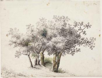 A group of Olive trees by 
																	Jan de Lagoor