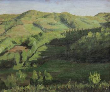Colline del Monferrato by 
																	Carlo Terzolo
