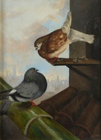 Les pigeons by 
																	Jose Ruiz Blasco
